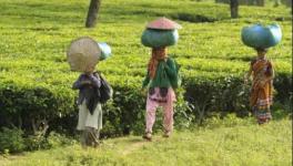 ग्रामीण भारत में कोरोना