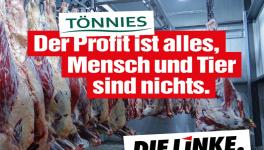 New COVID cases in Germany