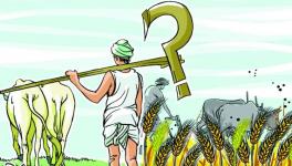 Deception in the name of increasing MSP for Kharif crops again!