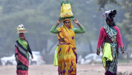 भारत में महिला रोज़गार की वास्तविकता