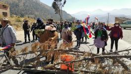 बोलिविया : आम चुनाव टलने के ख़िलाफ़ प्रदर्शन देश भर में फैला