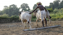 नए भारत में बदहाल किसान