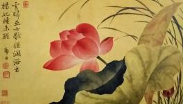कमल फूल, चित्रकार- यून शाउपींङ  जन्म 1633 ,चीन