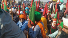 किसानों आंदोलन अपडेट:  समिति बनाने के प्रस्ताव से सहमत नहीं हैं किसान संगठन, वरिष्ठ वकीलों से विचार-विमर्श