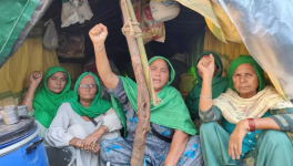 महिलाएँ किसान आंदोलन में सिर्फ़ 'भागीदार' नहीं, बल्कि वे संघर्ष की अगुवाई कर रही हैं: हरिंदर कौर बिंदू