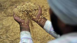 अंतर्राष्ट्रीय व्यापार ने भारतीय किसानों एवं खाद्य सुरक्षा को जोखिम में डाल दिया है
