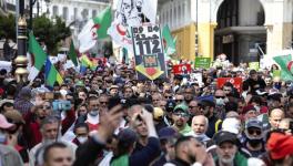 पिछले हफ़्ते अल्जीरिया में गिरफ़्तार हुए 23 हिरक प्रदर्शनकारियों ने भूख हड़ताल शुरु की