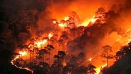 गर्मी बढ़ने के साथ ही बेकाबू हो गई है उत्तराखंड के जंगलों की आग। फोटो साभार: Hindustan times
