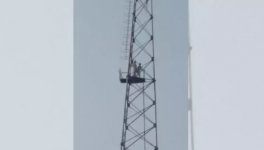 पठानकोट: भूमि अधिग्रहण के तरीके की मुखालफ़त में वृद्ध फोन टावर पर चढ़े