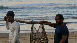 मुंबई से कोंकण तक ख़तरे में मछुआरों की रोज़ी-रोटी, कोरोना पाबंदी के नए नियम से बढ़ी मुसीबत