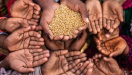 रिपोर्ट- 2020 में भारत के गरीबों ने झेली थी भूख की मार