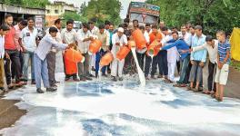 महाराष्ट्र : दूध की गिरती क़ीमतों के ख़िलाफ़ प्रदेश भर में प्रदर्शन करेंगे किसान