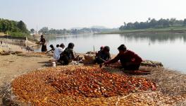   बरगी जलाशय से जबलपुर, मंडला और सिवनी जिले के 54 गांवों में करीब तीन हजार मछुआरा परिवारों का गुजारा होता रहा है। (फोटो: जितेंद्र बर्मन)