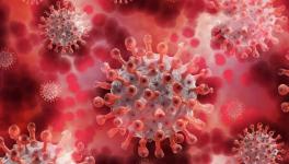 समझें: क्या हैं कोरोना वायरस के अलग-अलग वेरिएंट