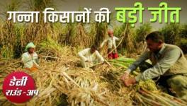 पंजाब के गन्ना किसानों की मांग पूरी, डीयू ने हटाई महाश्वेता देवी की कहानी और अन्य ख़बरें