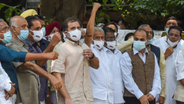 राहुल गांधी समेत 11 विपक्षी दलों का बड़ा आरोप- संसद में चर्चा नहीं होने दे रही सरकार 