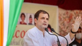 कांग्रेस, राहुल, अन्य नेताओं के ट्विटर अकाउंट बहाल, राहुल बोले “सत्यमेव जयते”