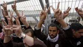 1300 से अधिक फ़िलिस्तीनी क़ैदी इज़रायली जेलों में दुर्व्यवहार के विरोध में भूख हड़ताल करेंगे 