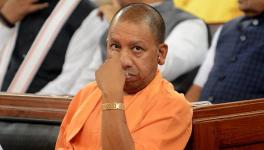 yogi