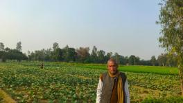 यूपी चुनाव : किसानों ने कहा- आय दोगुनी क्या होती, लागत तक नहीं निकल पा रही