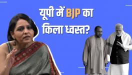 up elections
