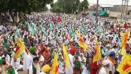 पंजाब के किसान संगठनों ने भगवंत मान सरकार के ख़िलाफ़ खोला मोर्चा
