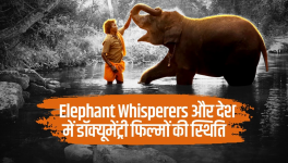 Elephant Whisperers