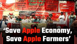 apple farmers
