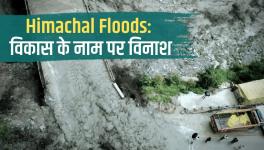 himachal flood
