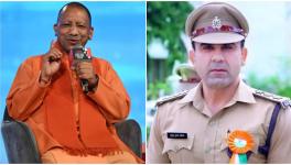 yogi and co