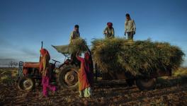 Farmer