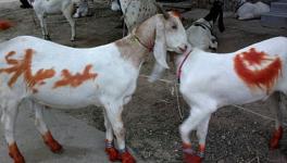 BAKRID