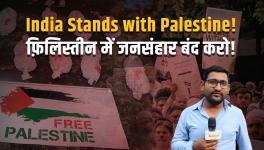 in support of Palestine