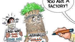 ARAVALLI CARTOON